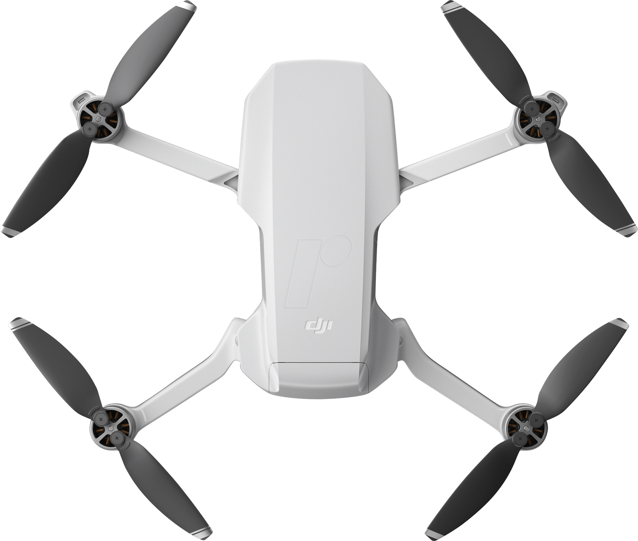 DJI Mavic Mini